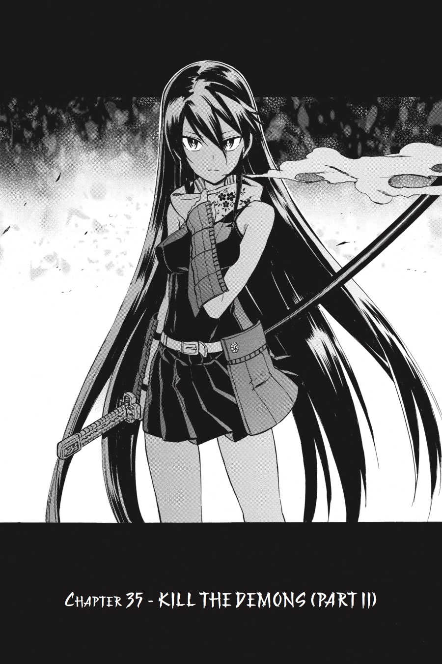 Read Akame ga Kill! (en) Manga Online