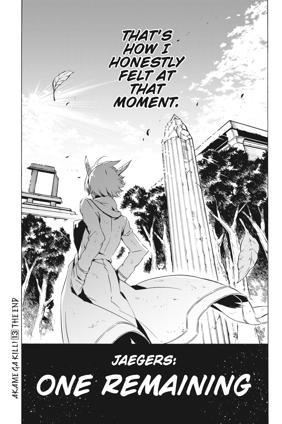 Read Akame ga Kill! (en) Manga Online