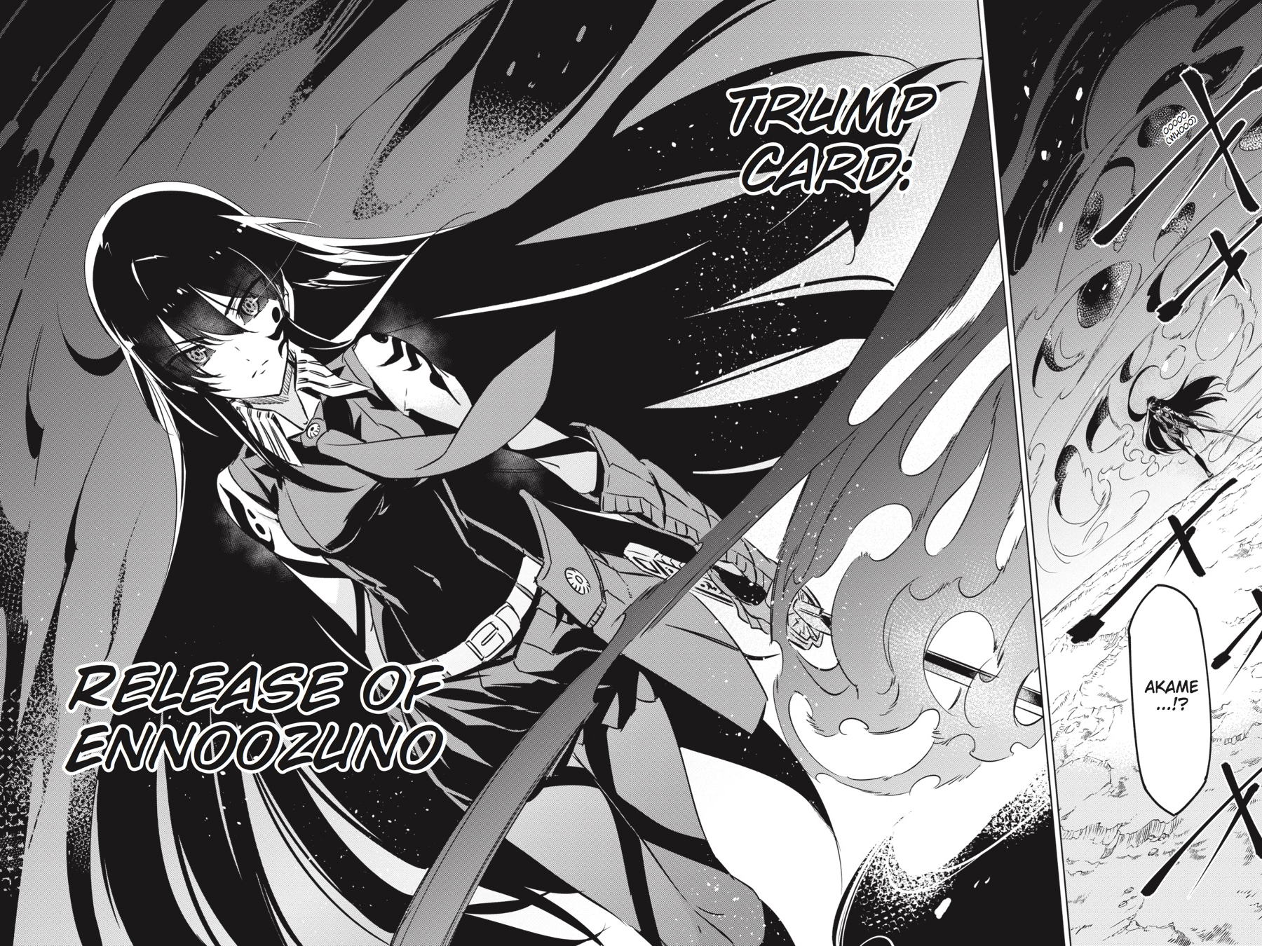 Read Akame ga Kill! (en) Manga Online