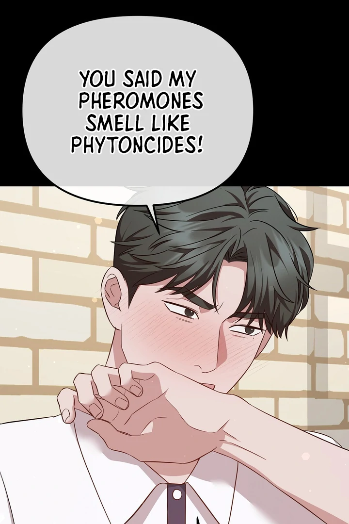 Read Autobahn Romance Manga Online