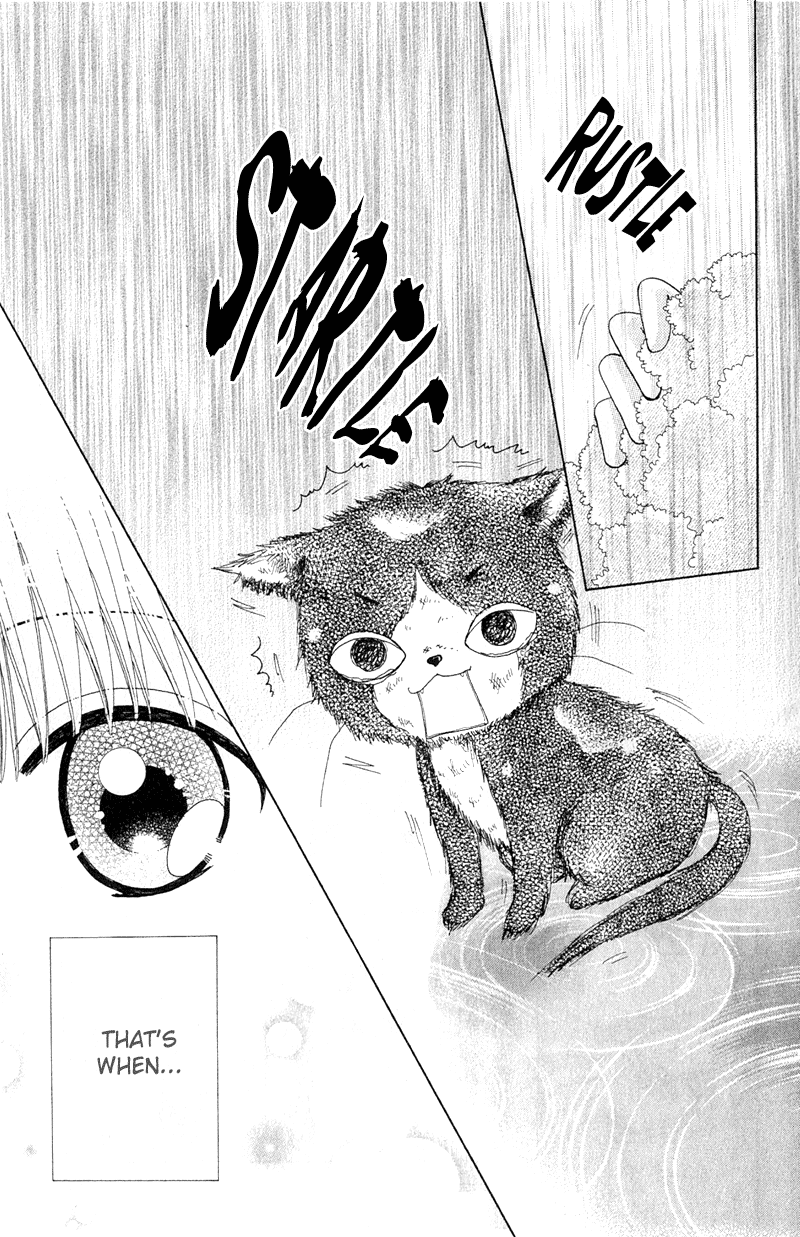 Read Beauty Pop (en) Manga Online