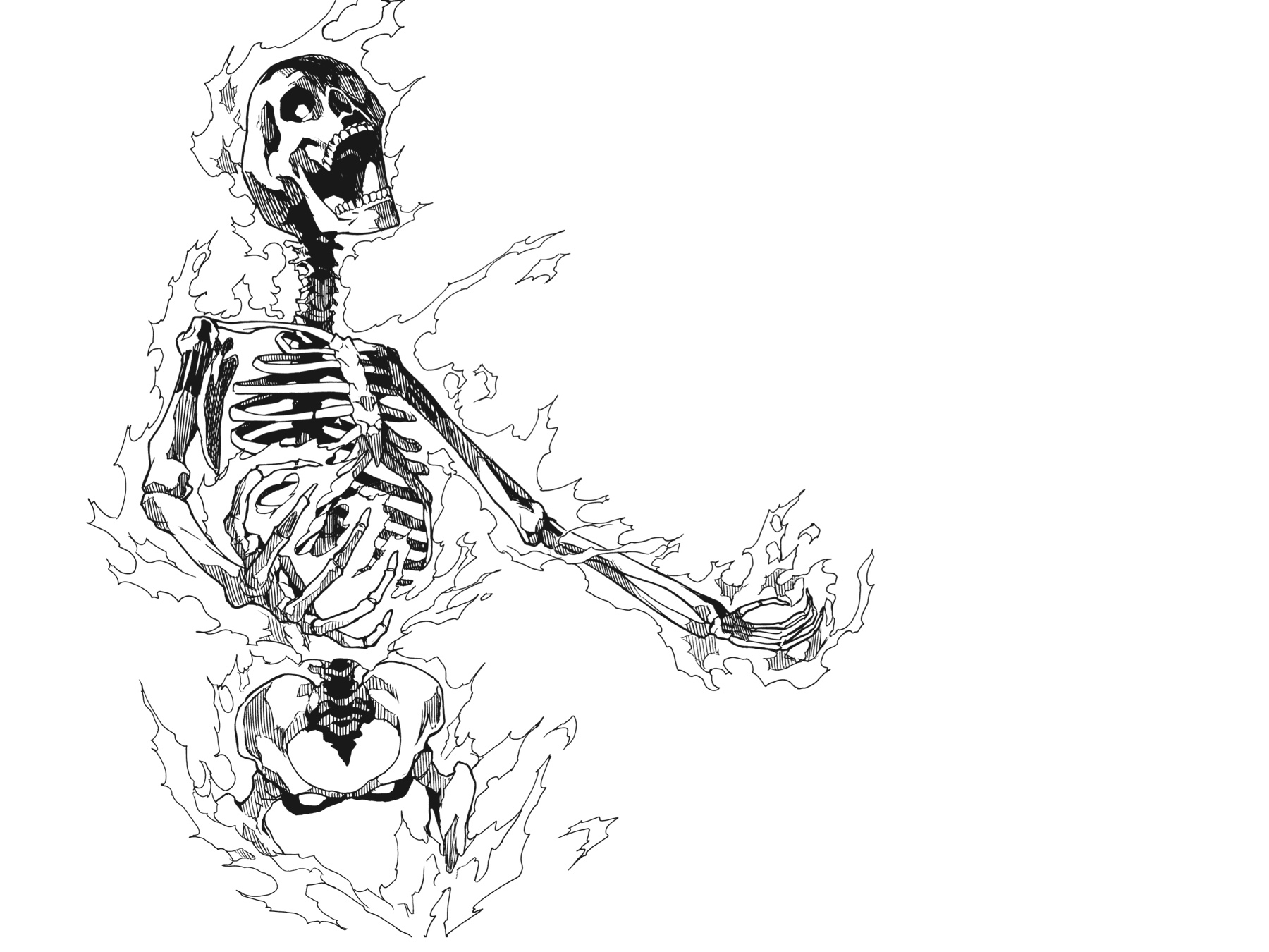 Read Big Order (en) Manga Online