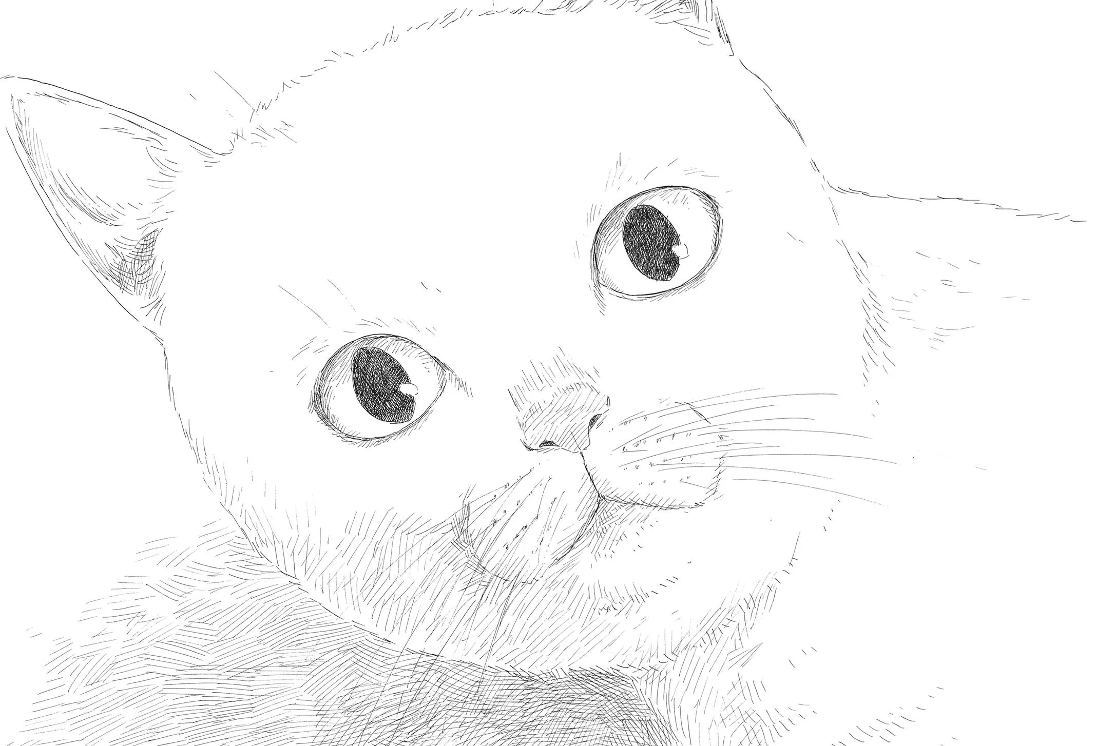 Read Blood on the Tracks (en) Manga Online