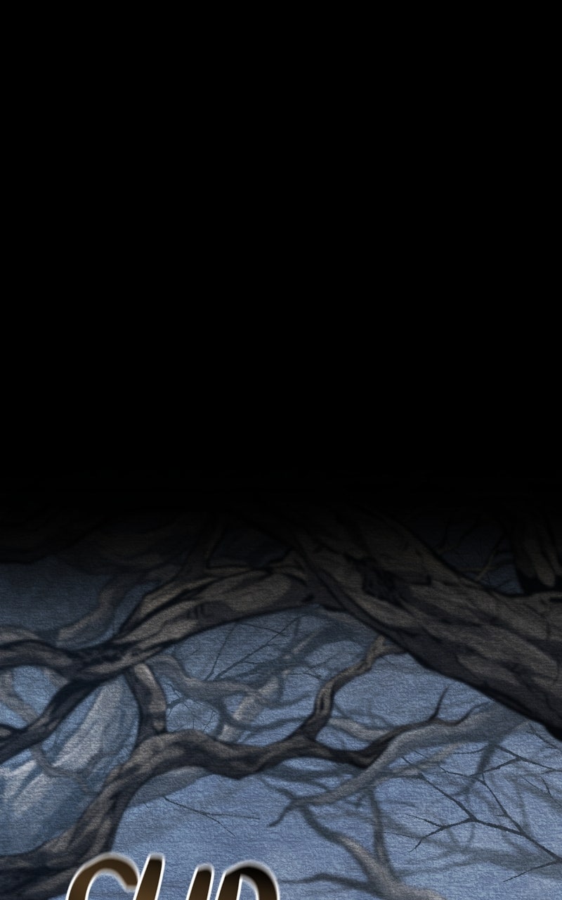 Read Boundless Ascension (en) Manga Online