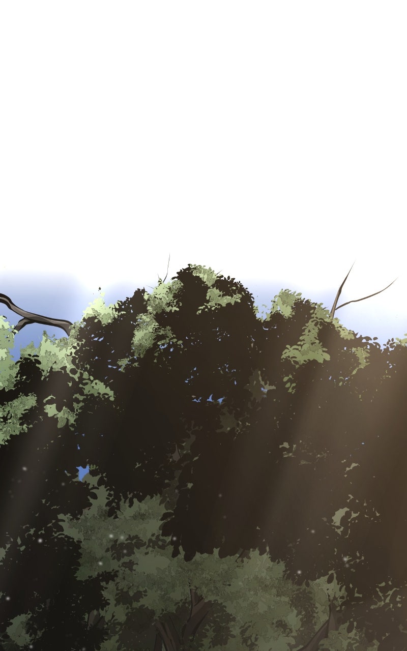 Read Boundless Ascension (en) Manga Online