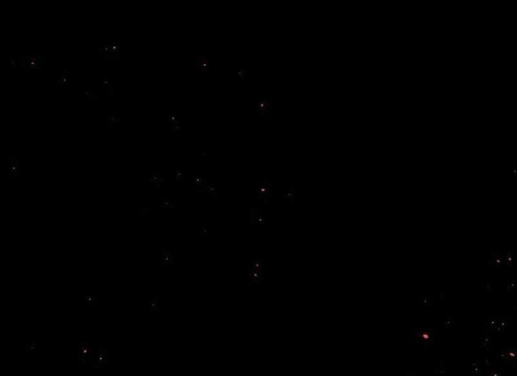 Read Bug Player (en) Manga Online