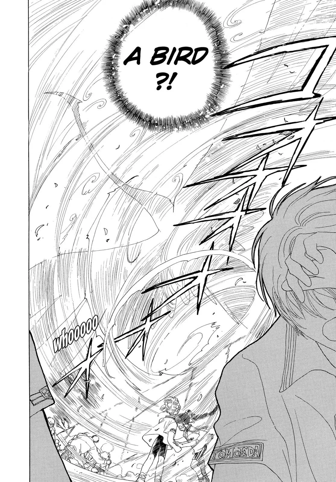 Read Cardcaptor Sakura (en) Manga Online