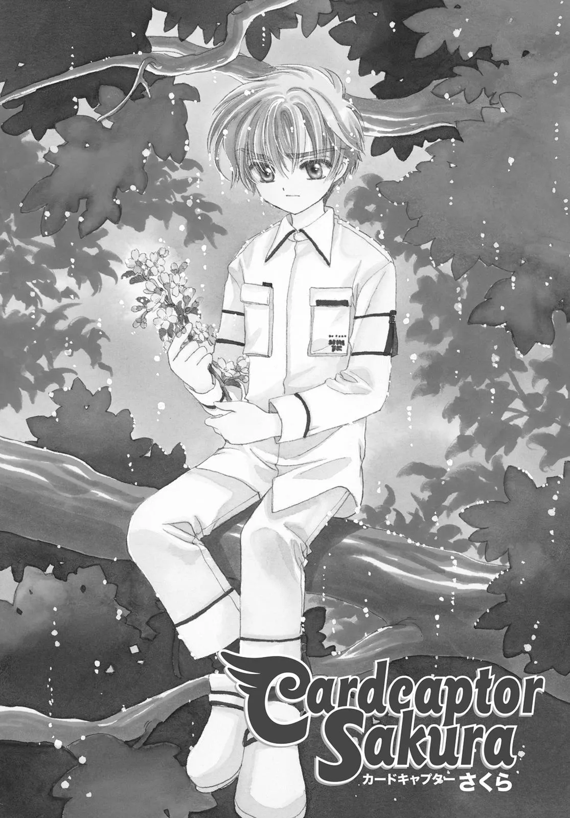 Read Cardcaptor Sakura (en) Manga Online
