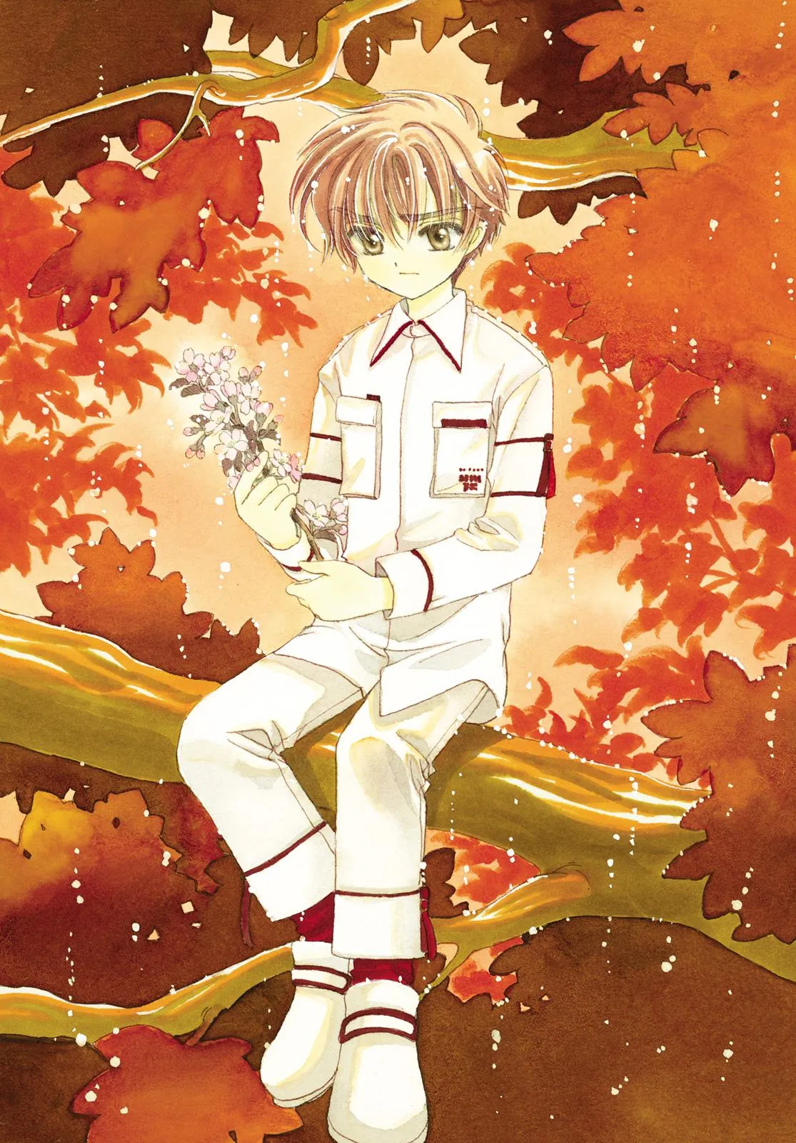 Read Cardcaptor Sakura (en) Manga Online
