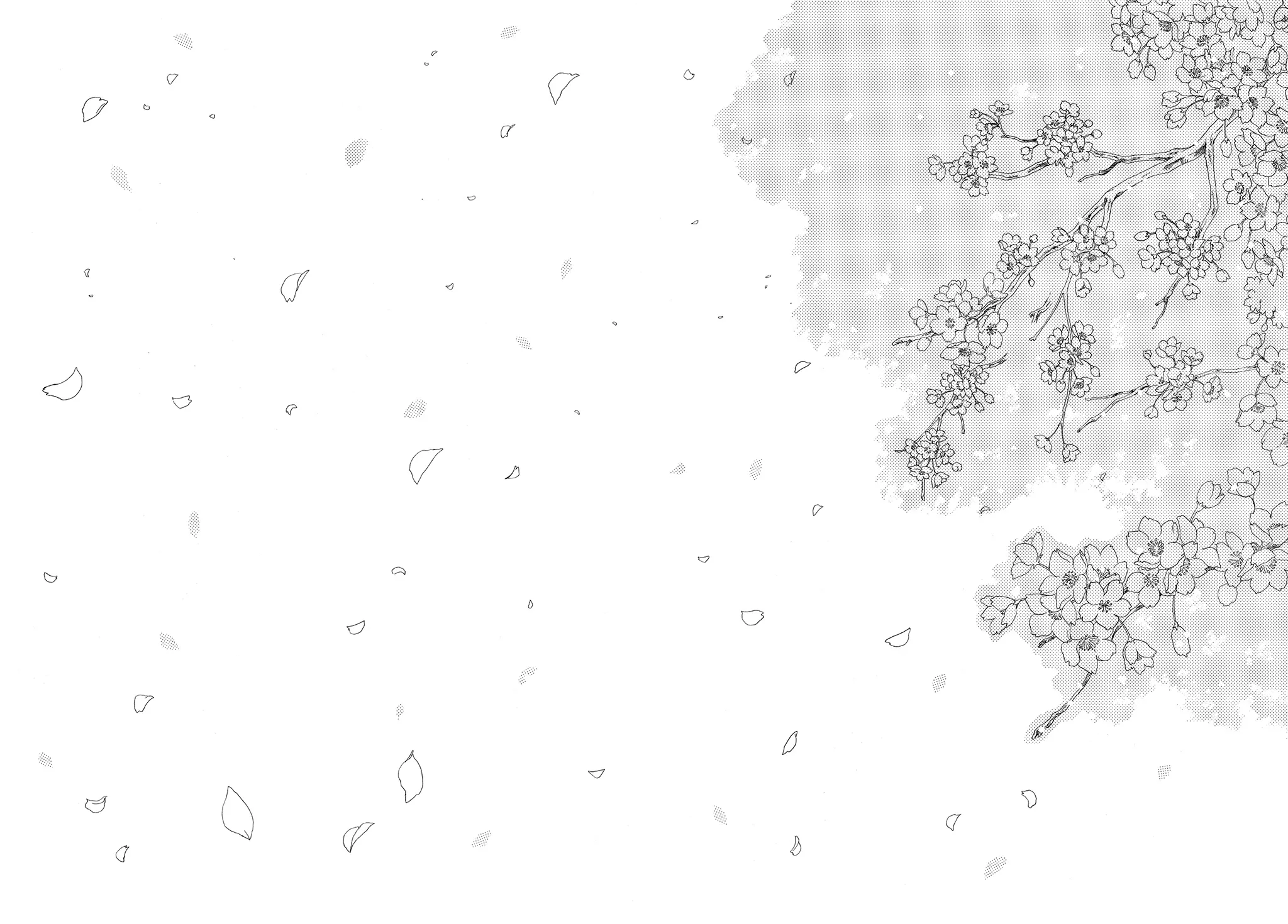 Read Cardcaptor Sakura (en) Manga Online