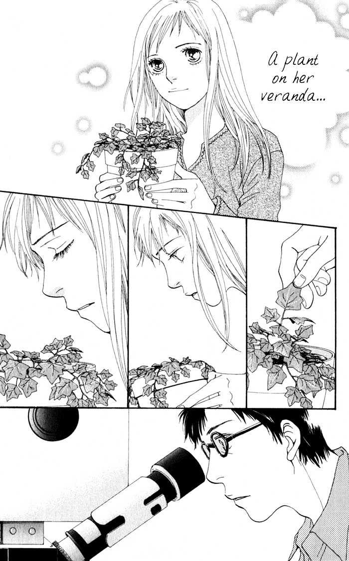 Read Cat Street (en) Manga Online