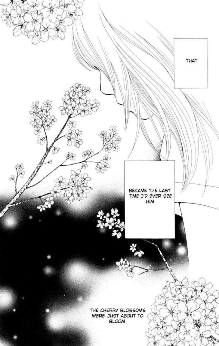 Read Cat Street (en) Manga Online