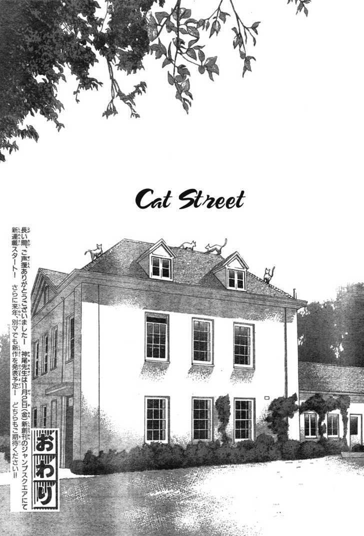 Read Cat Street (en) Manga Online