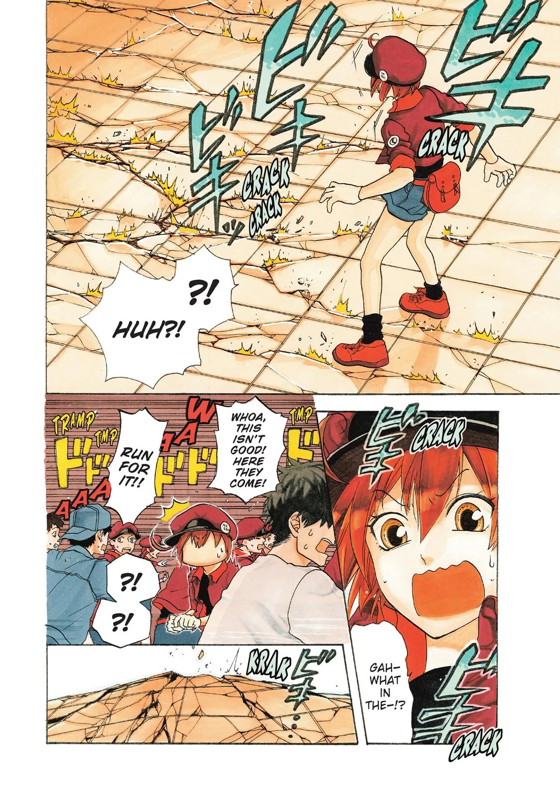 Read Cells at Work! (en) Manga Online