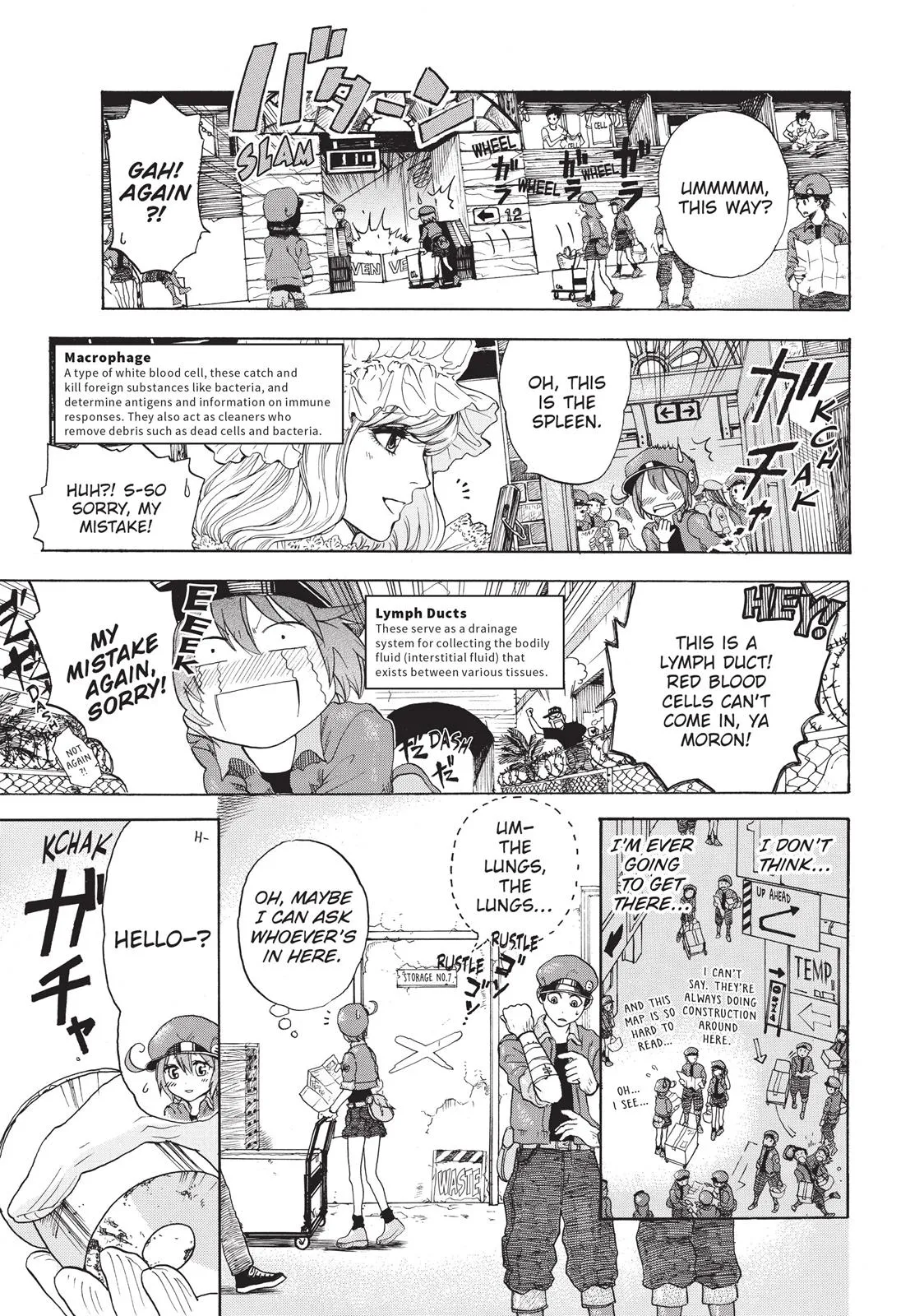 Read Cells at Work! (en) Manga Online