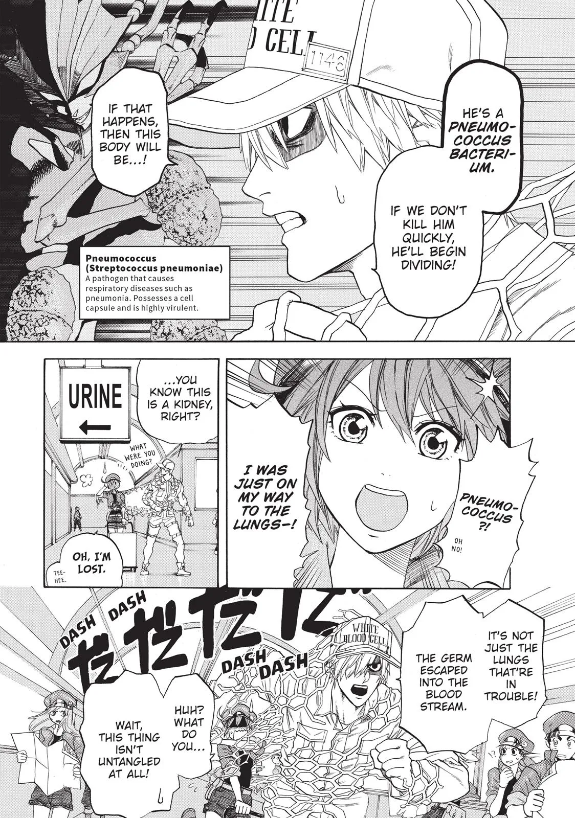 Read Cells at Work! (en) Manga Online