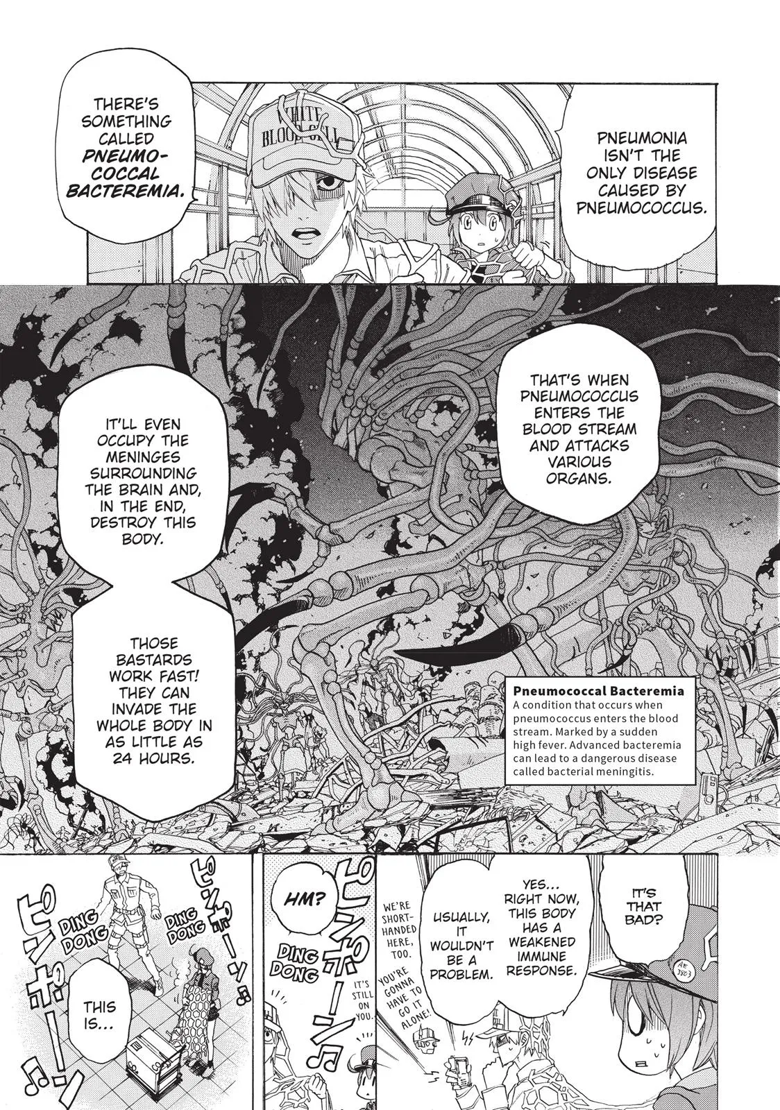 Read Cells at Work! (en) Manga Online