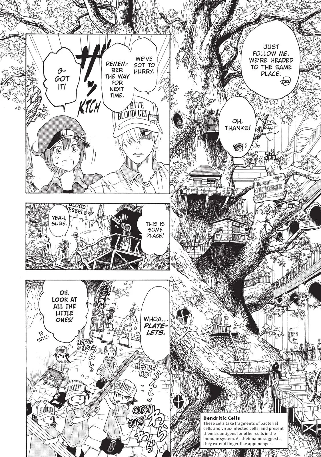 Read Cells at Work! (en) Manga Online