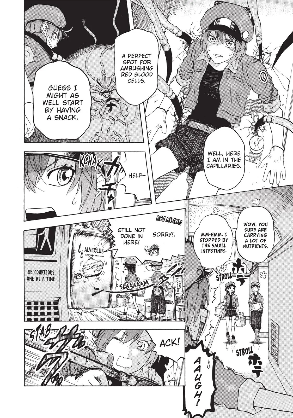 Read Cells at Work! (en) Manga Online