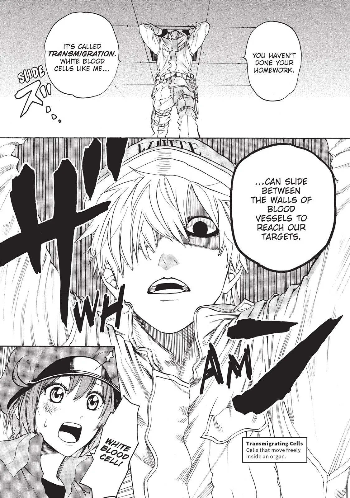 Read Cells at Work! (en) Manga Online