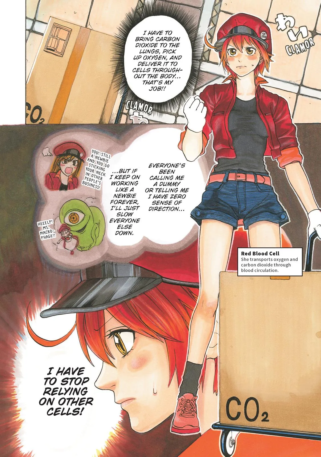 Read Cells at Work! (en) Manga Online