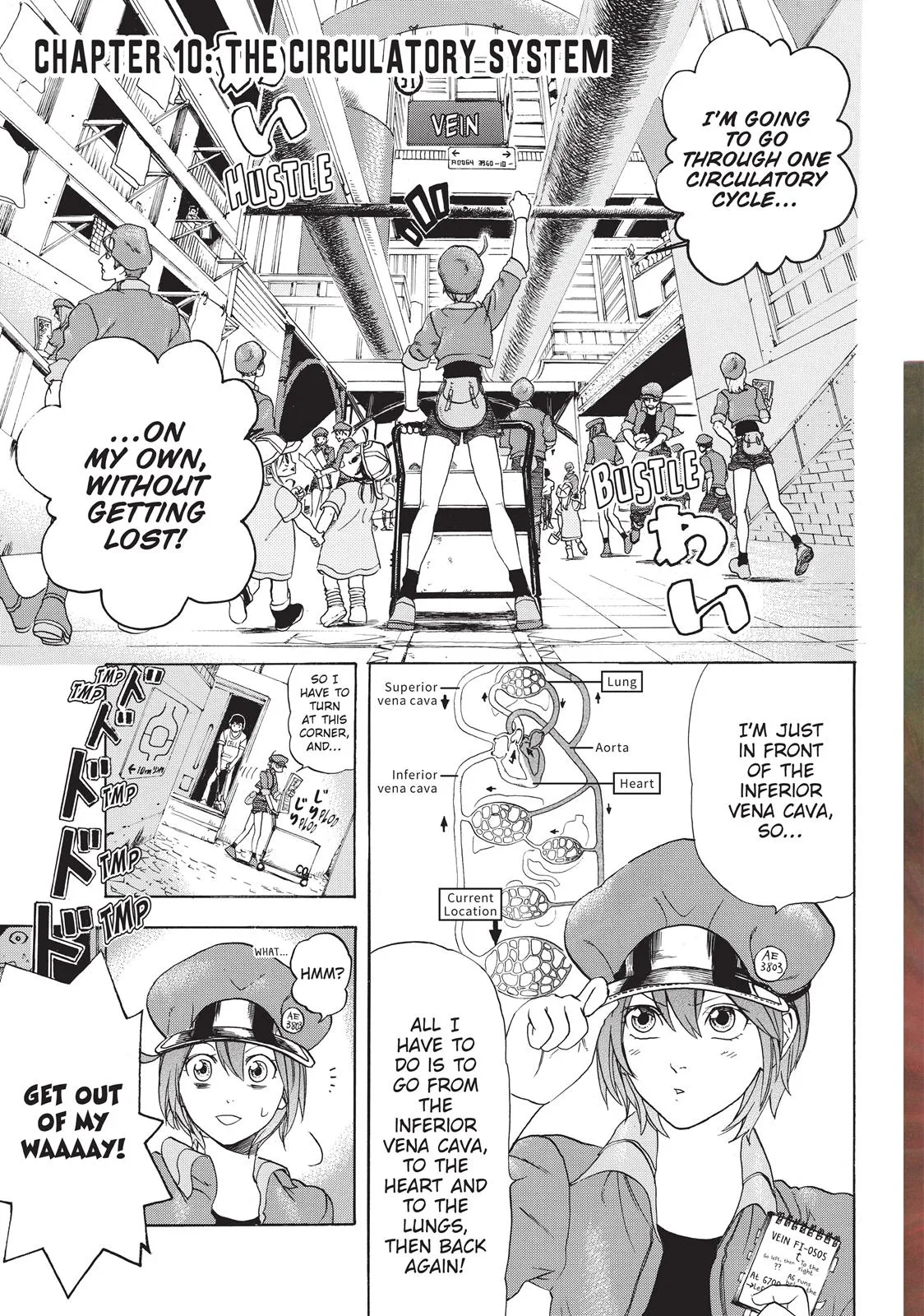 Read Cells at Work! (en) Manga Online
