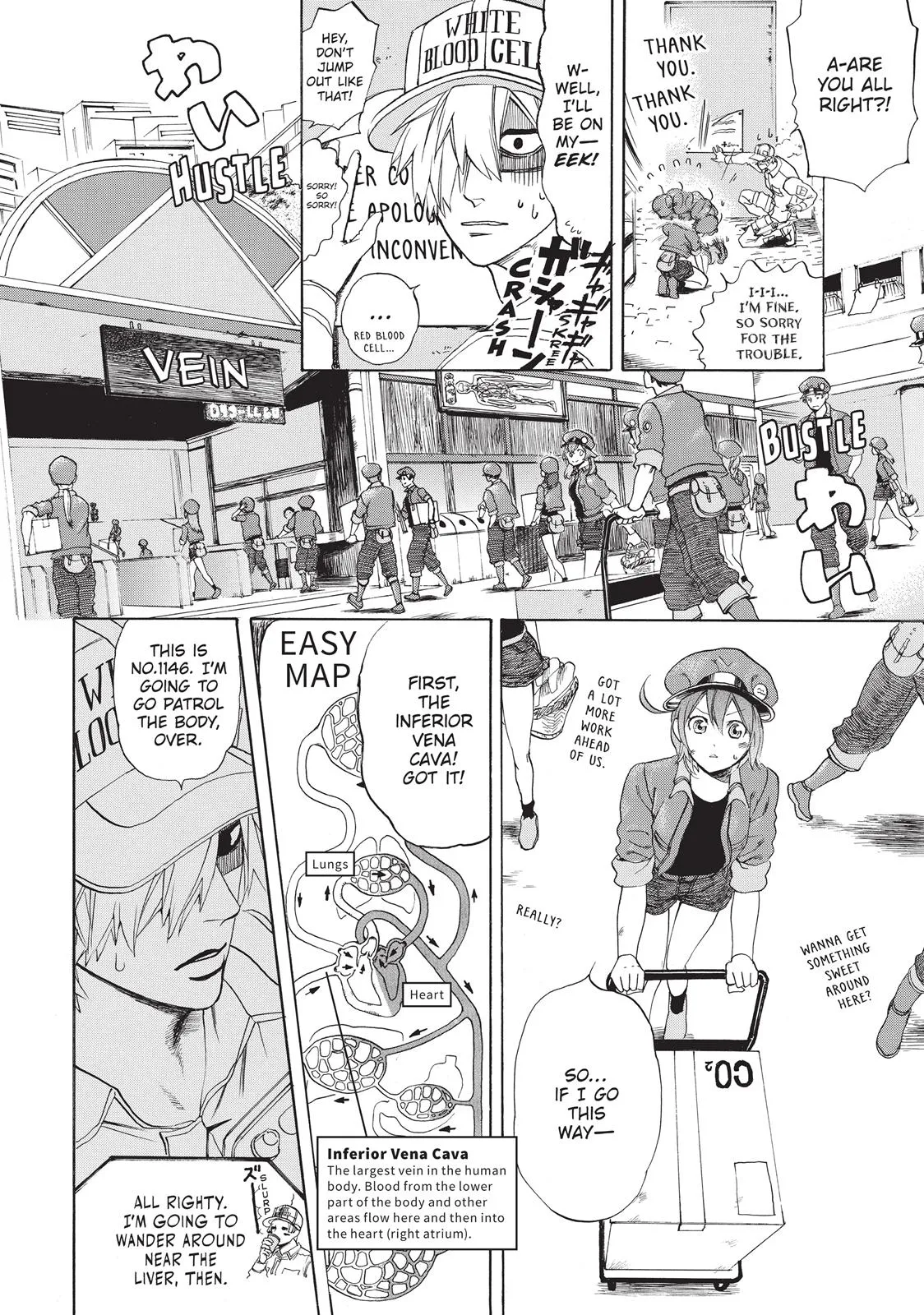 Read Cells at Work! (en) Manga Online