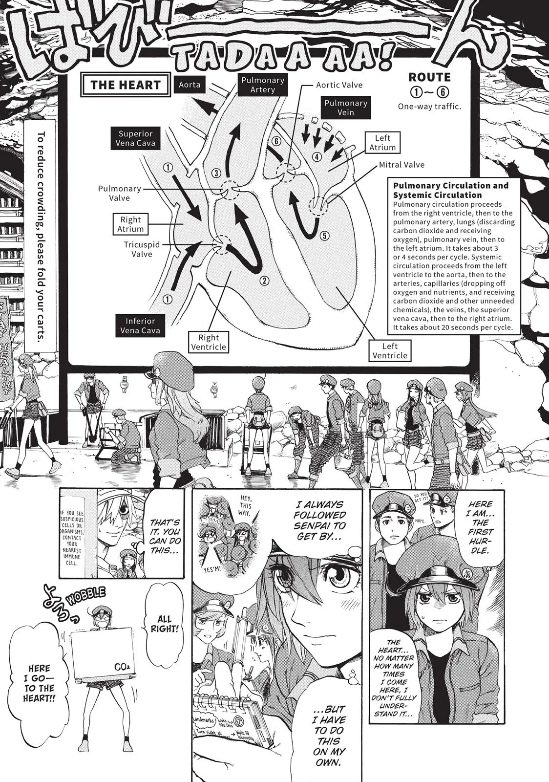 Read Cells at Work! (en) Manga Online