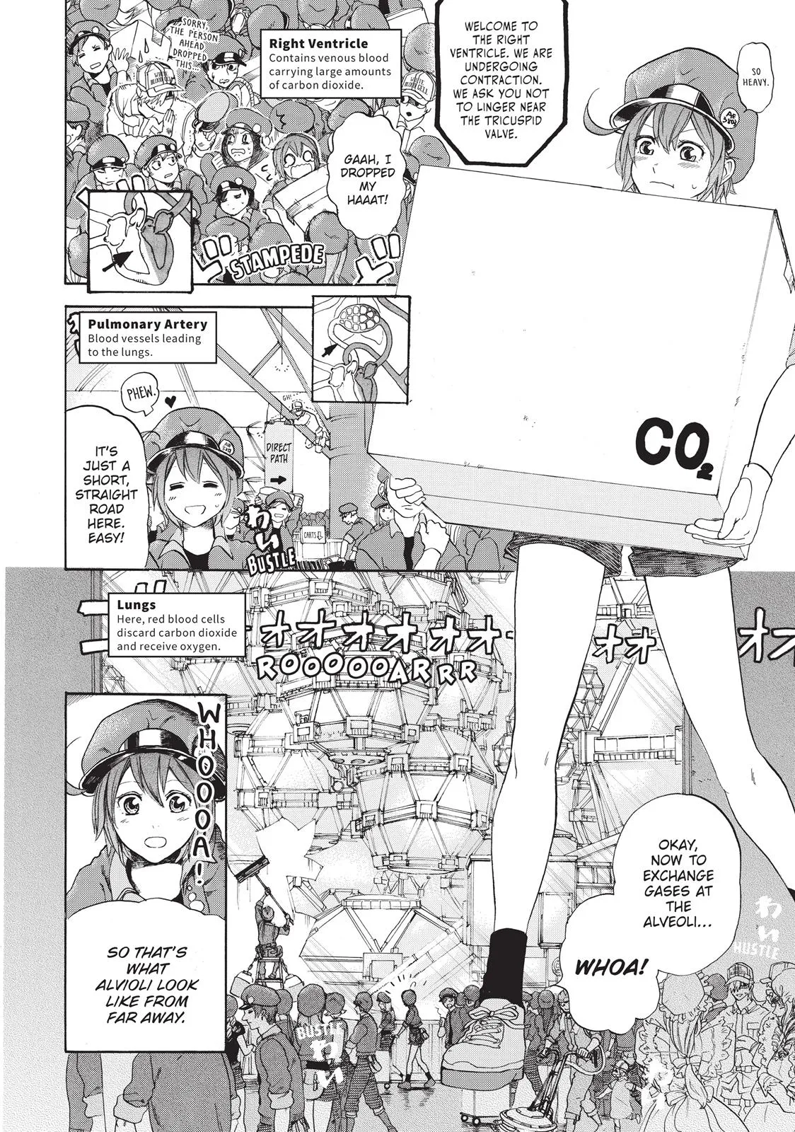 Read Cells at Work! (en) Manga Online