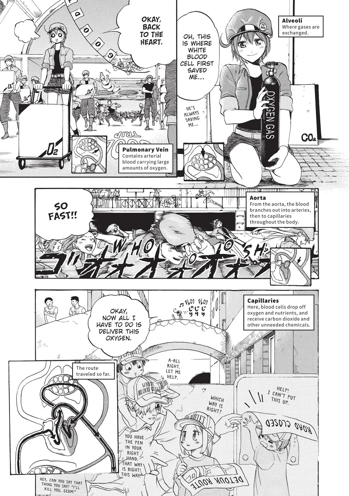 Read Cells at Work! (en) Manga Online