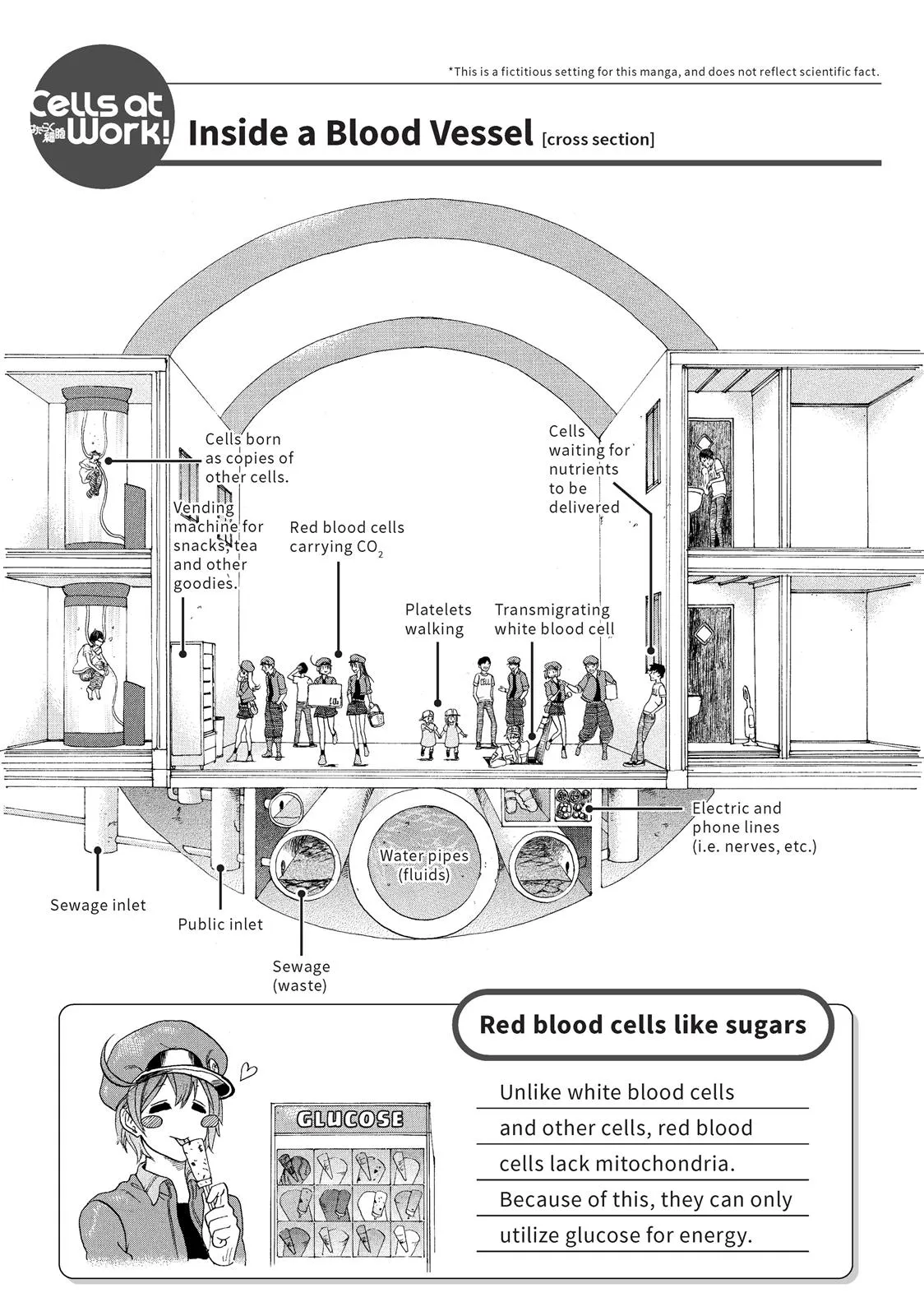 Read Cells at Work! (en) Manga Online