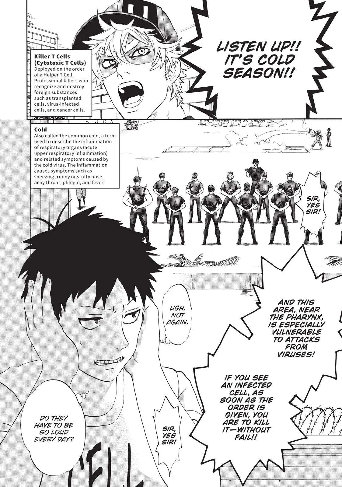 Read Cells at Work! (en) Manga Online