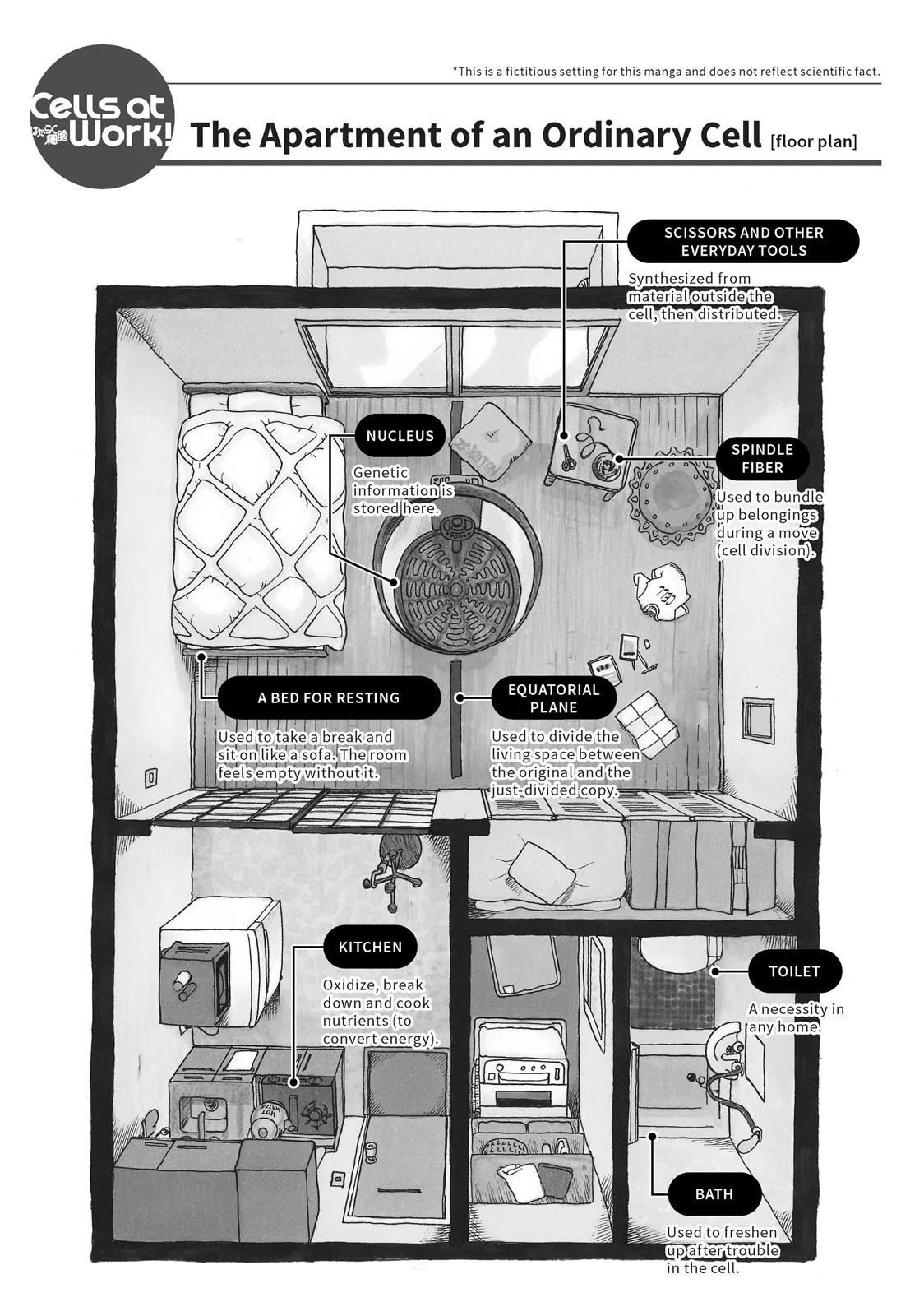 Read Cells at Work! (en) Manga Online