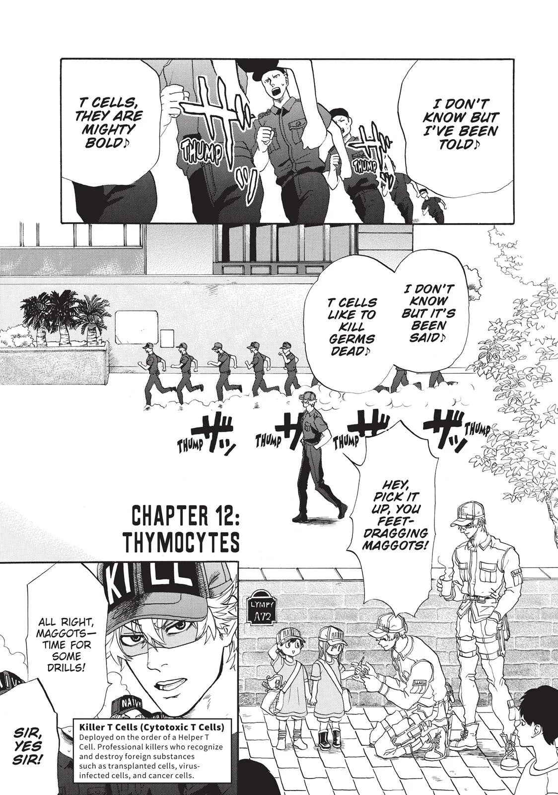 Read Cells at Work! (en) Manga Online