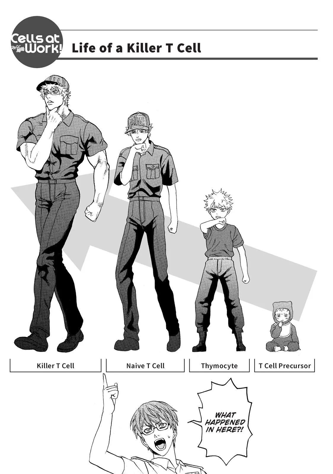 Read Cells at Work! (en) Manga Online