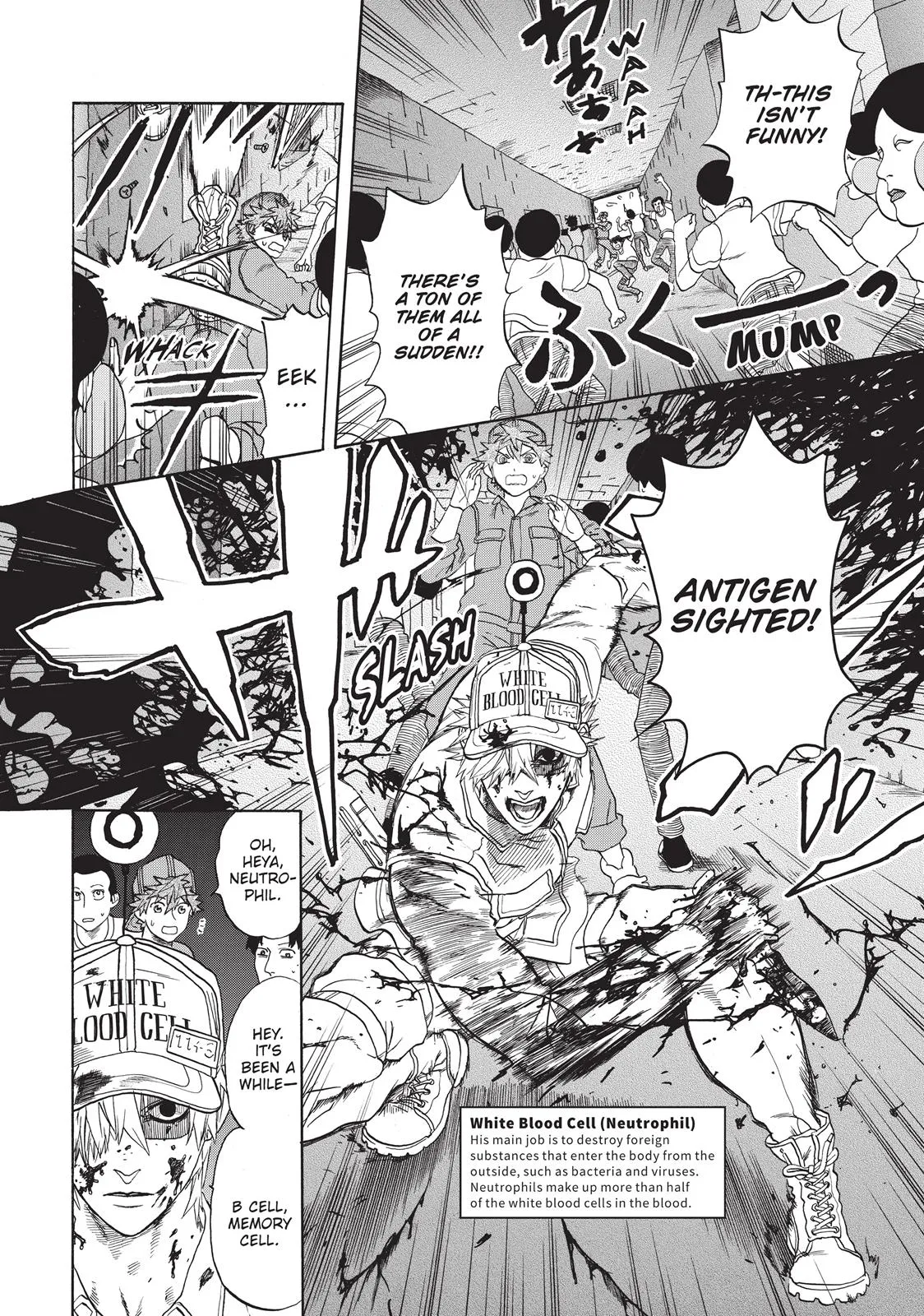 Read Cells at Work! (en) Manga Online