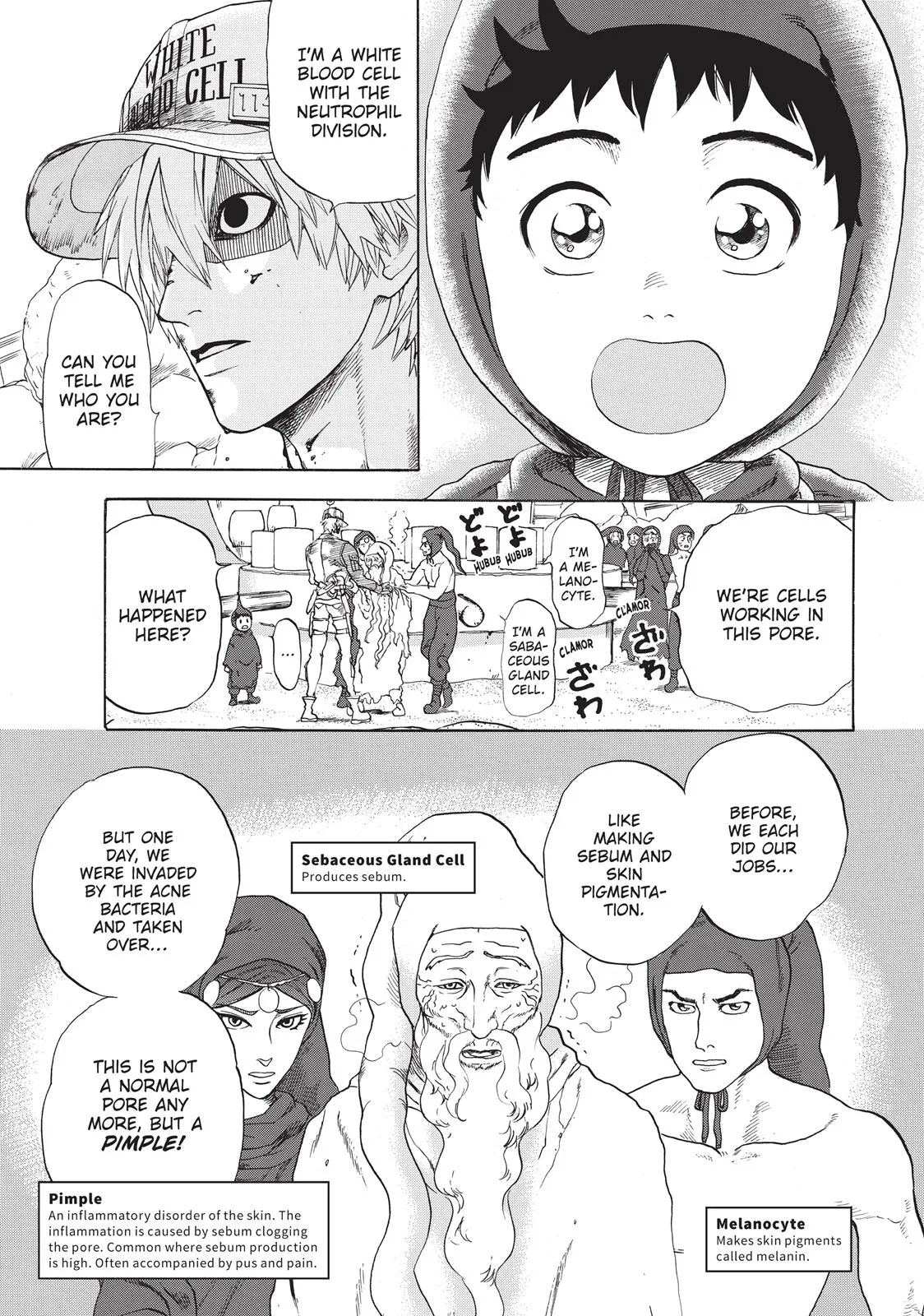 Read Cells at Work! (en) Manga Online
