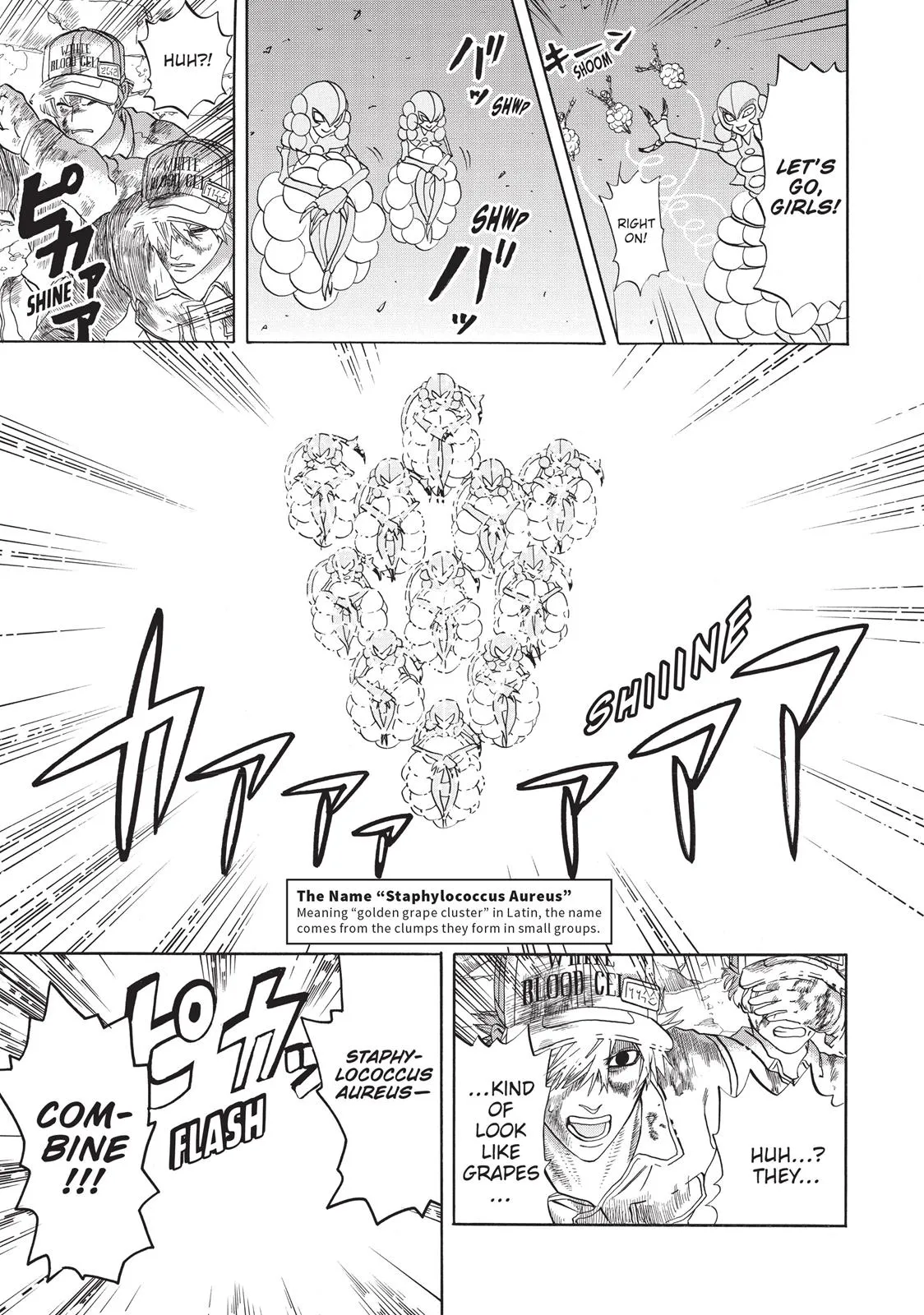 Read Cells at Work! (en) Manga Online