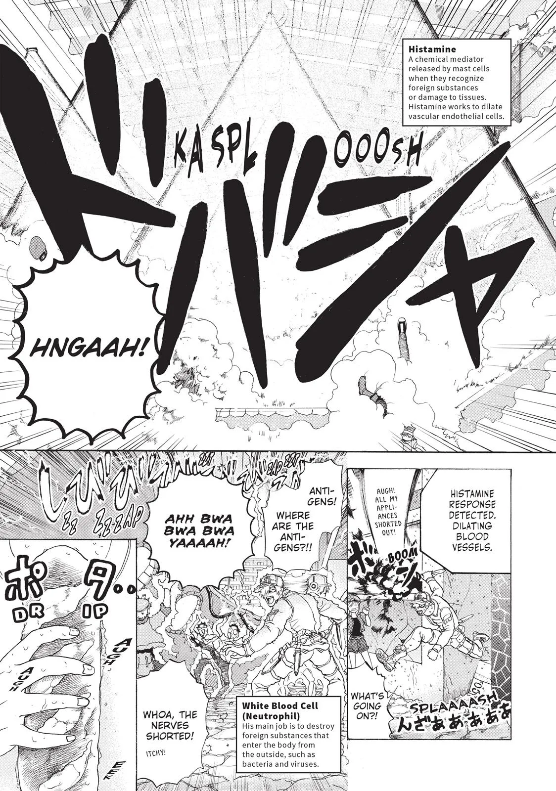 Read Cells at Work! (en) Manga Online