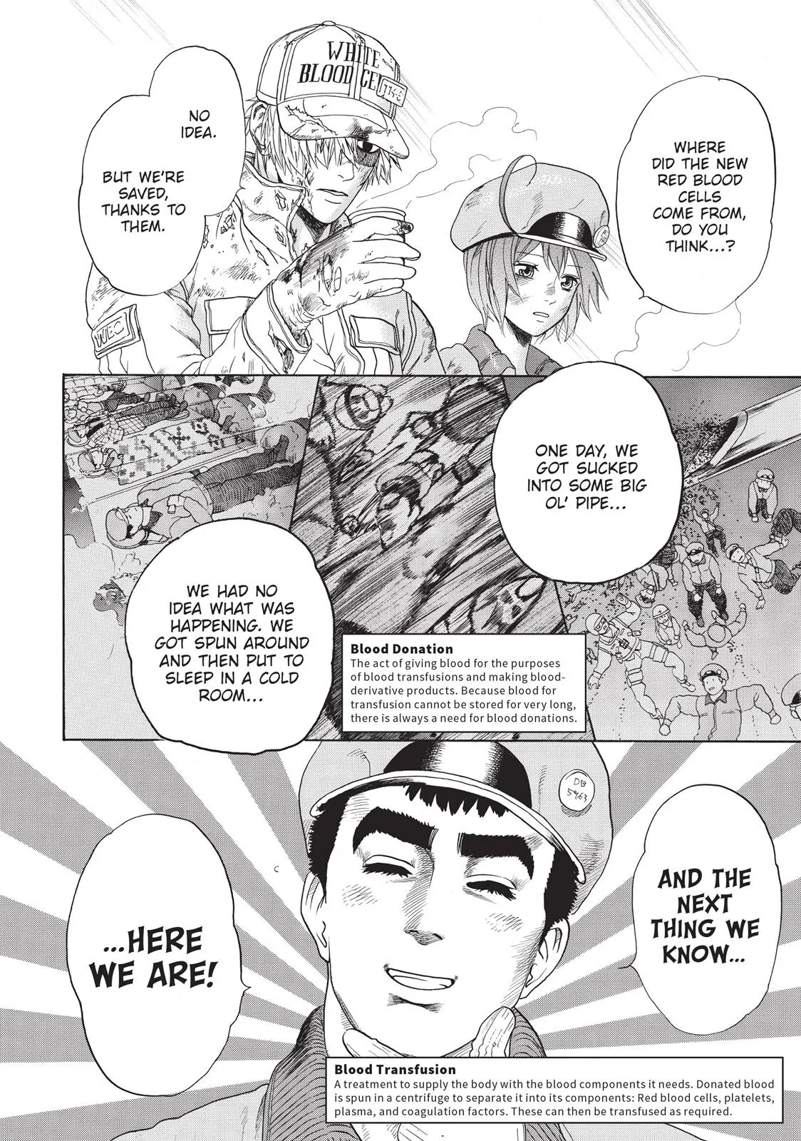 Read Cells at Work! (en) Manga Online