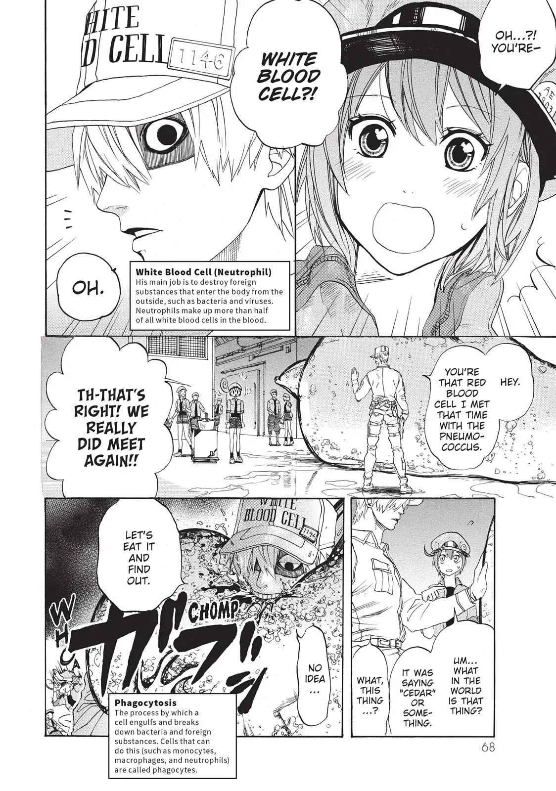 Read Cells at Work! (en) Manga Online