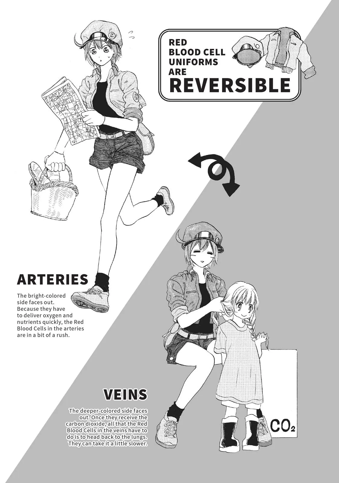 Read Cells at Work! (en) Manga Online