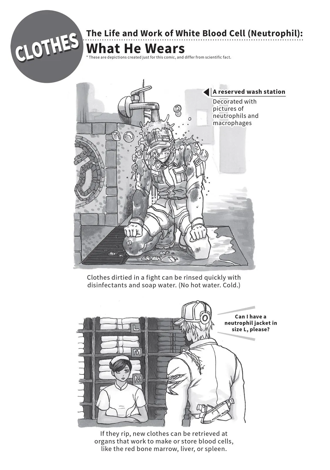 Read Cells at Work! (en) Manga Online