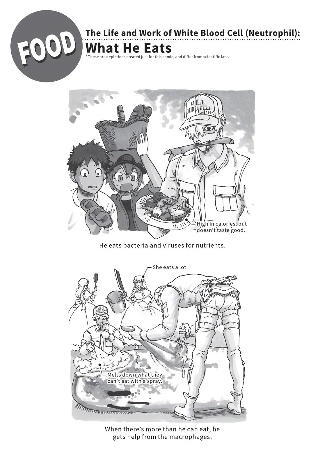 Read Cells at Work! (en) Manga Online