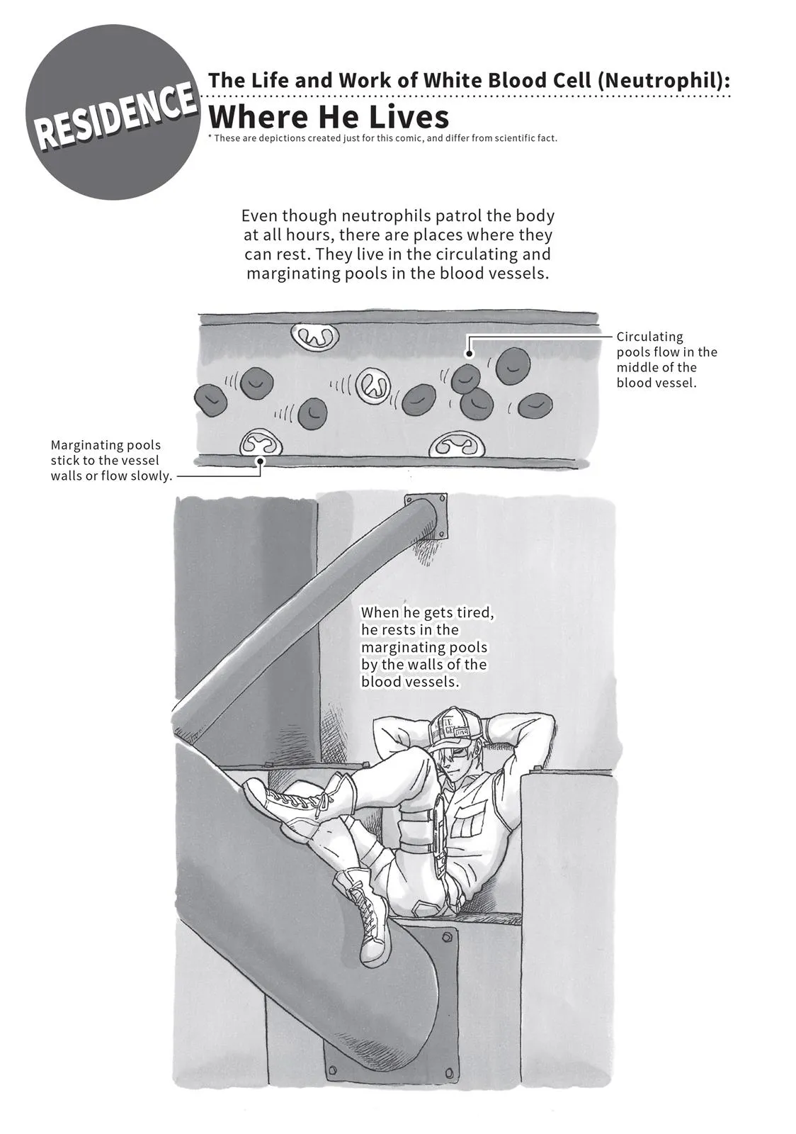 Read Cells at Work! (en) Manga Online