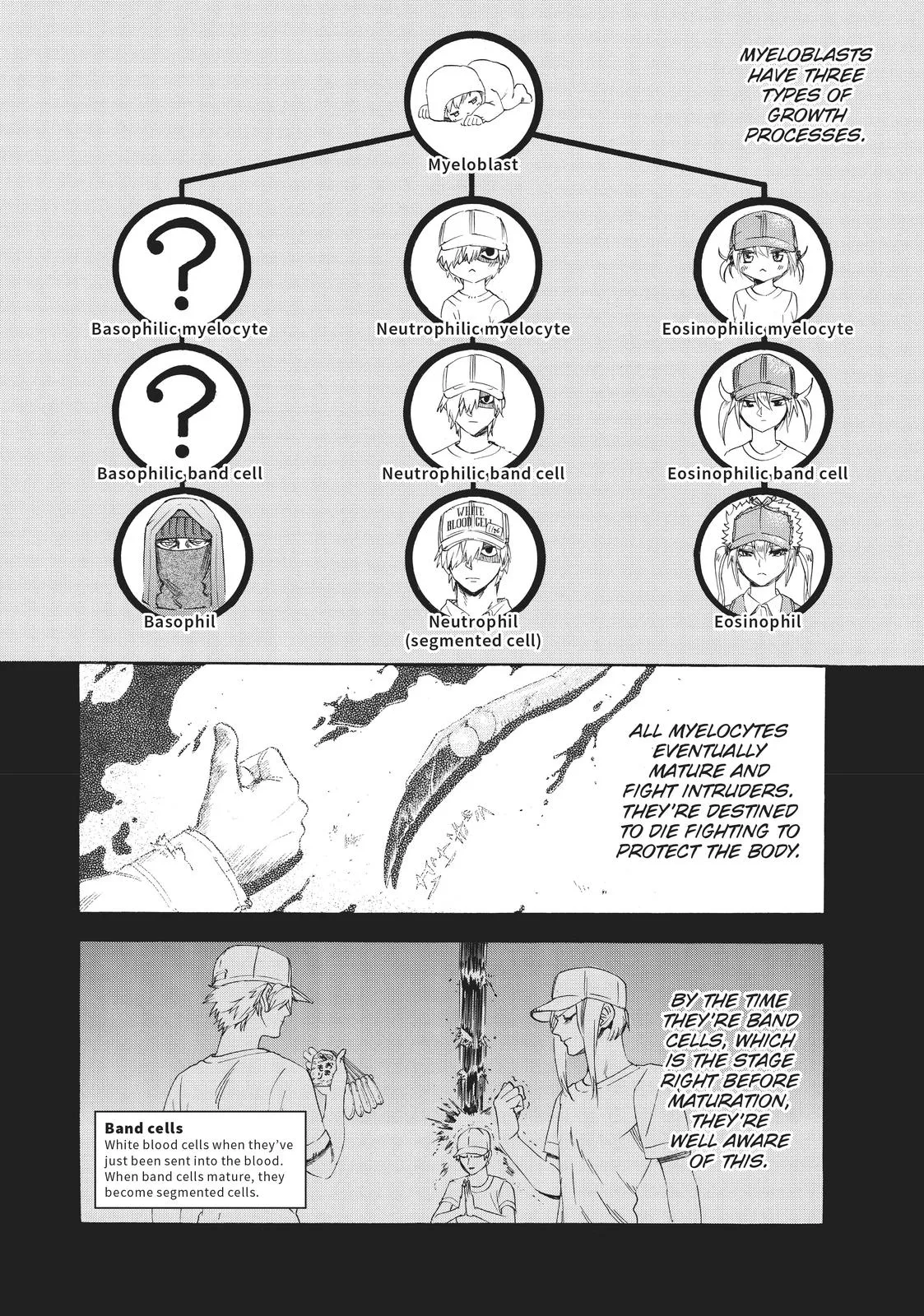 Read Cells at Work! (en) Manga Online