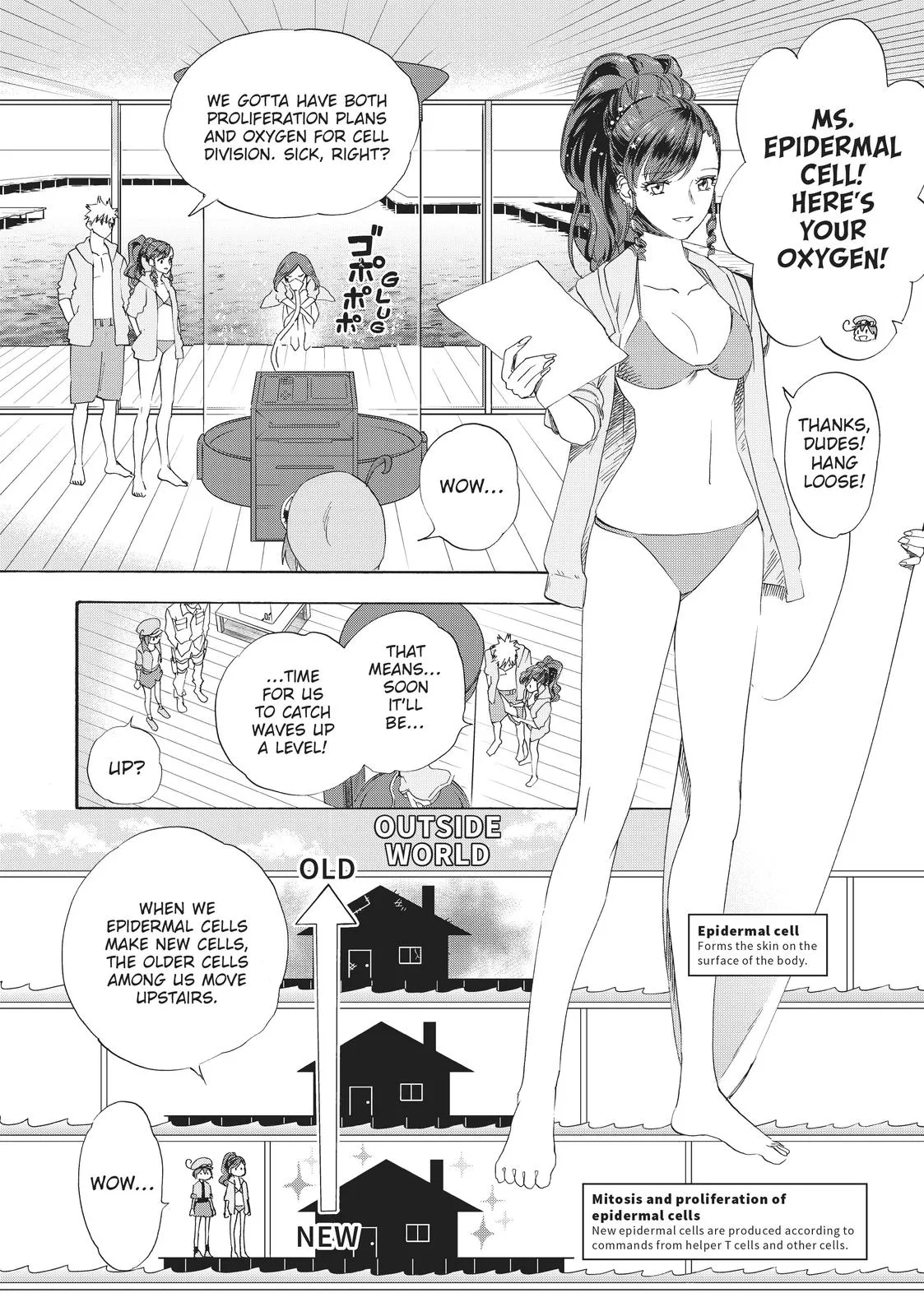 Read Cells at Work! (en) Manga Online