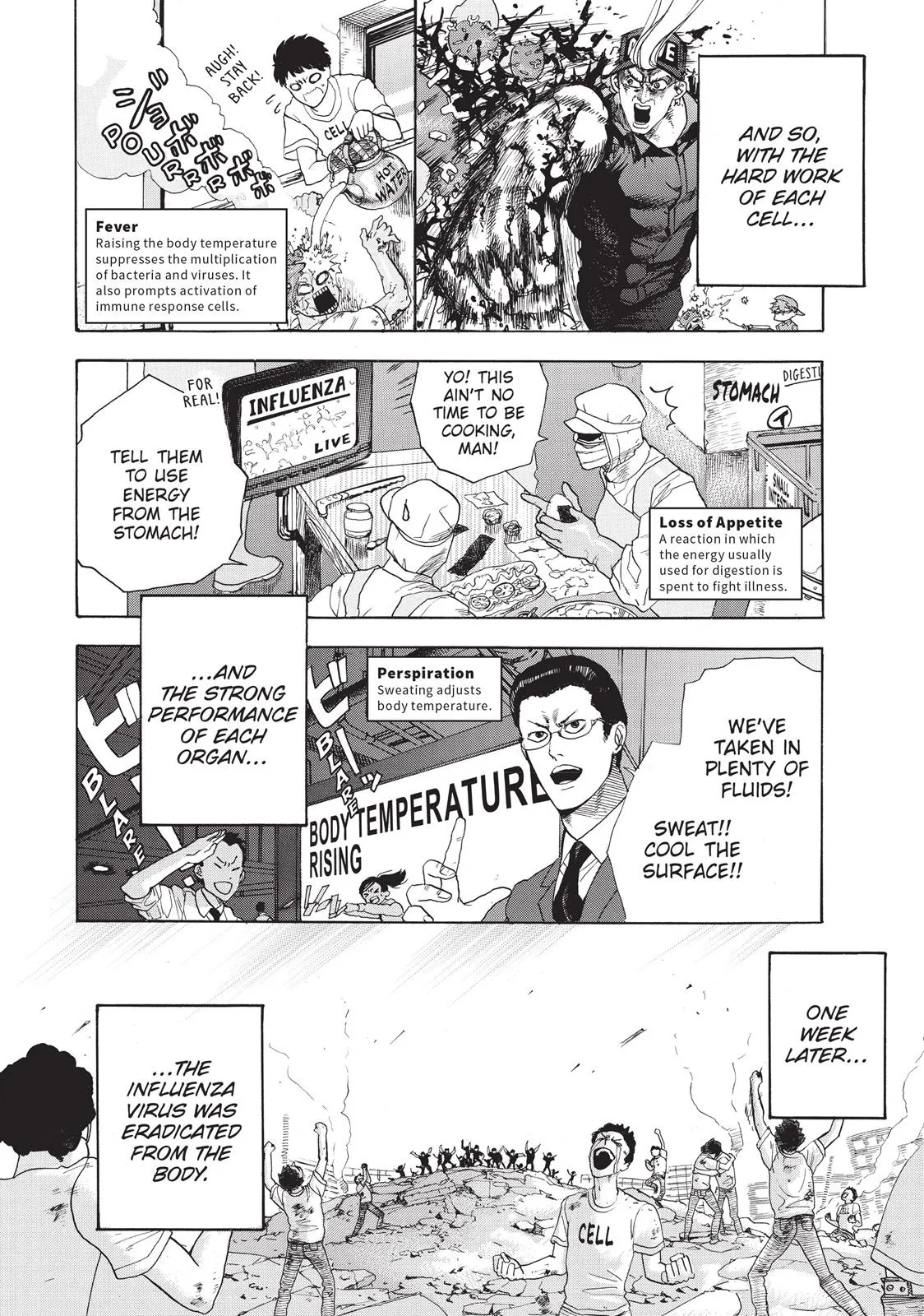 Read Cells at Work! (en) Manga Online