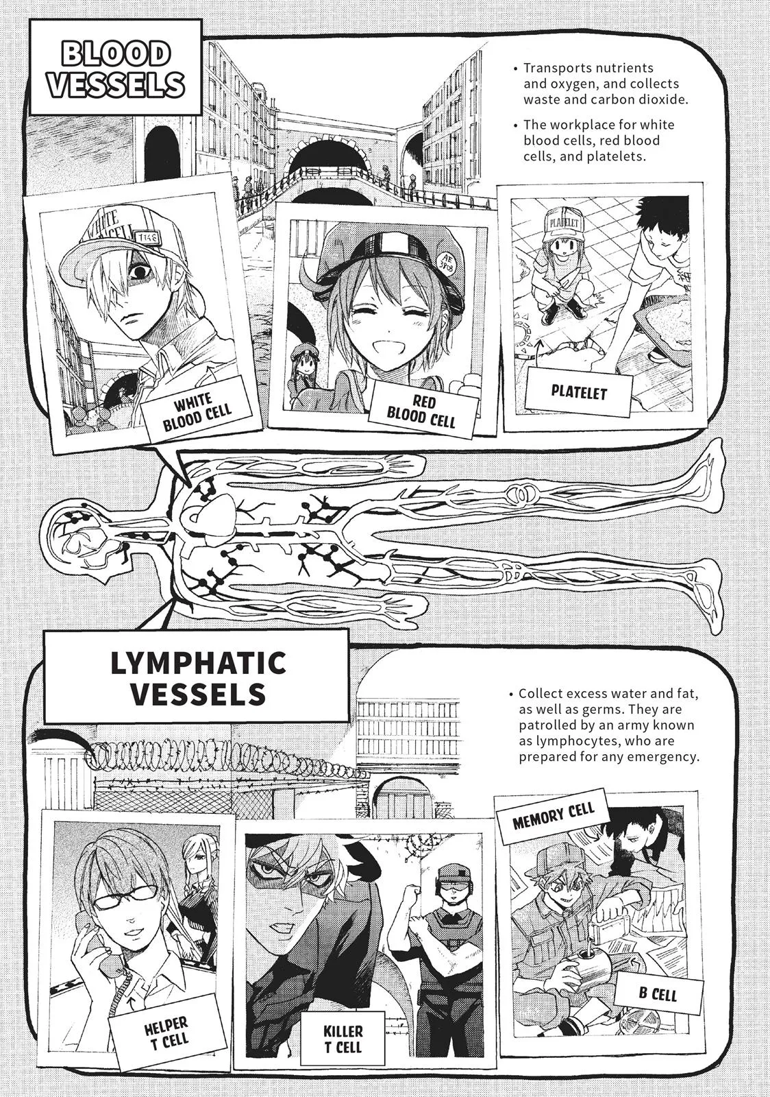 Read Cells at Work! (en) Manga Online