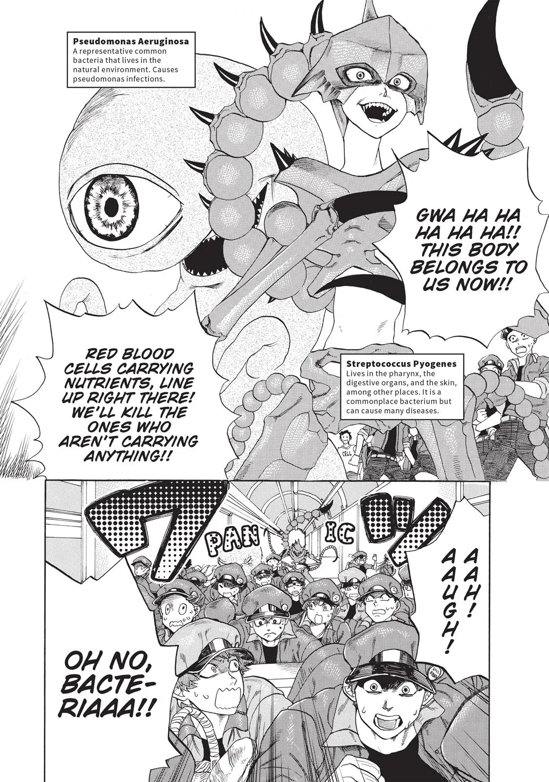 Read Cells at Work! (en) Manga Online